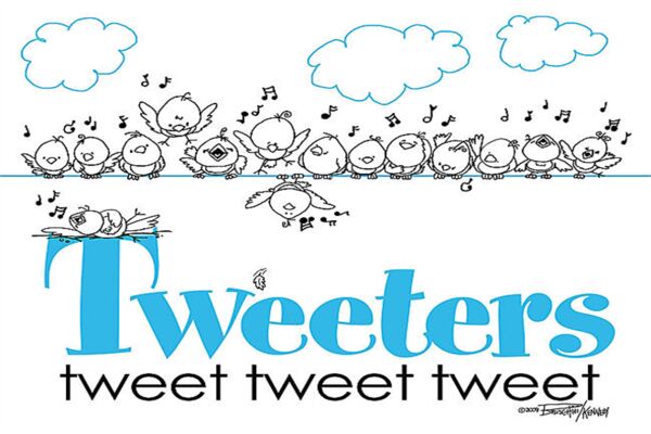 Twitter tweets lerinin web sitesinde gösterilmesi